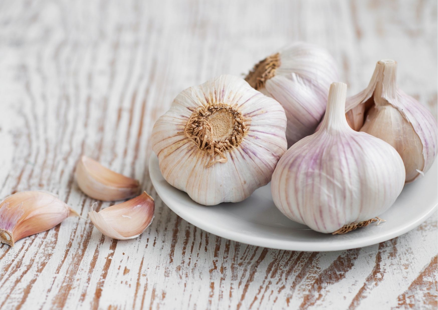 Manfaat Bawang Putih untuk Tubuh
