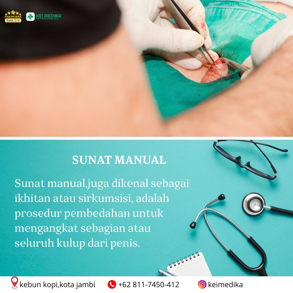 SUNAT MANUAL
