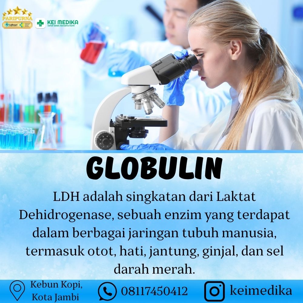 GLOBULIN