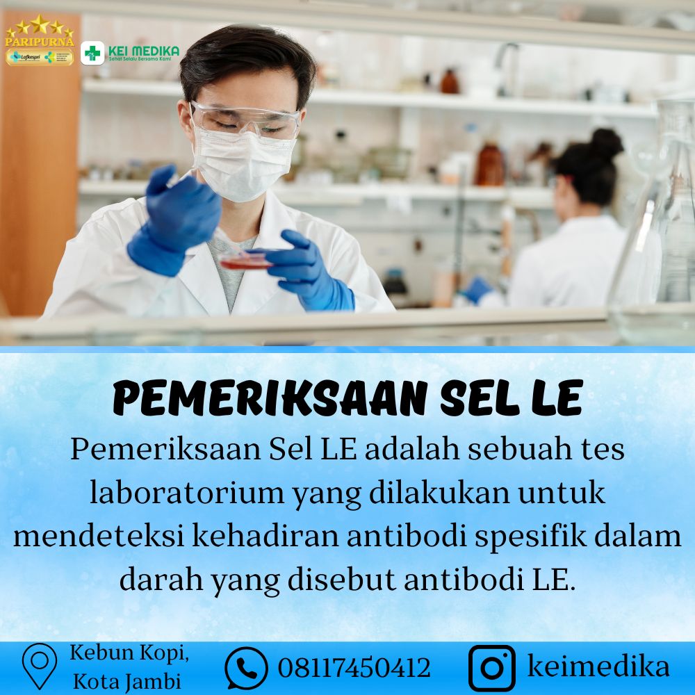 PEMERIKSAAN SEL LE