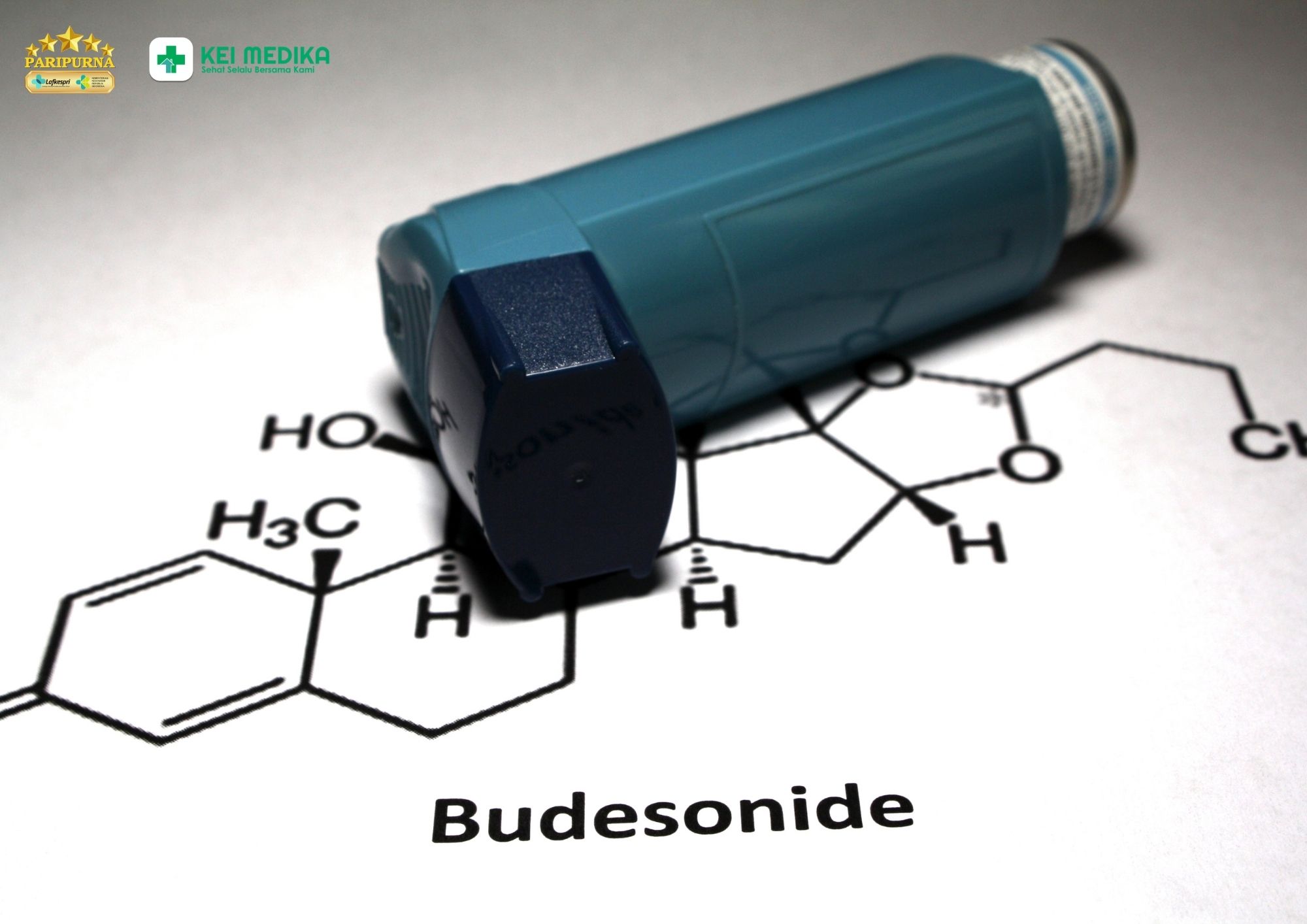 Budesonide untuk Apa? Mengenal Obat yang Digunakan pada Saluran Pernapasan